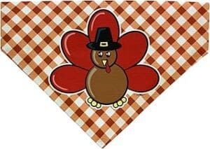 Turkey Bandana: Festive Thanksgiving Gift for Medium to Large Dogs